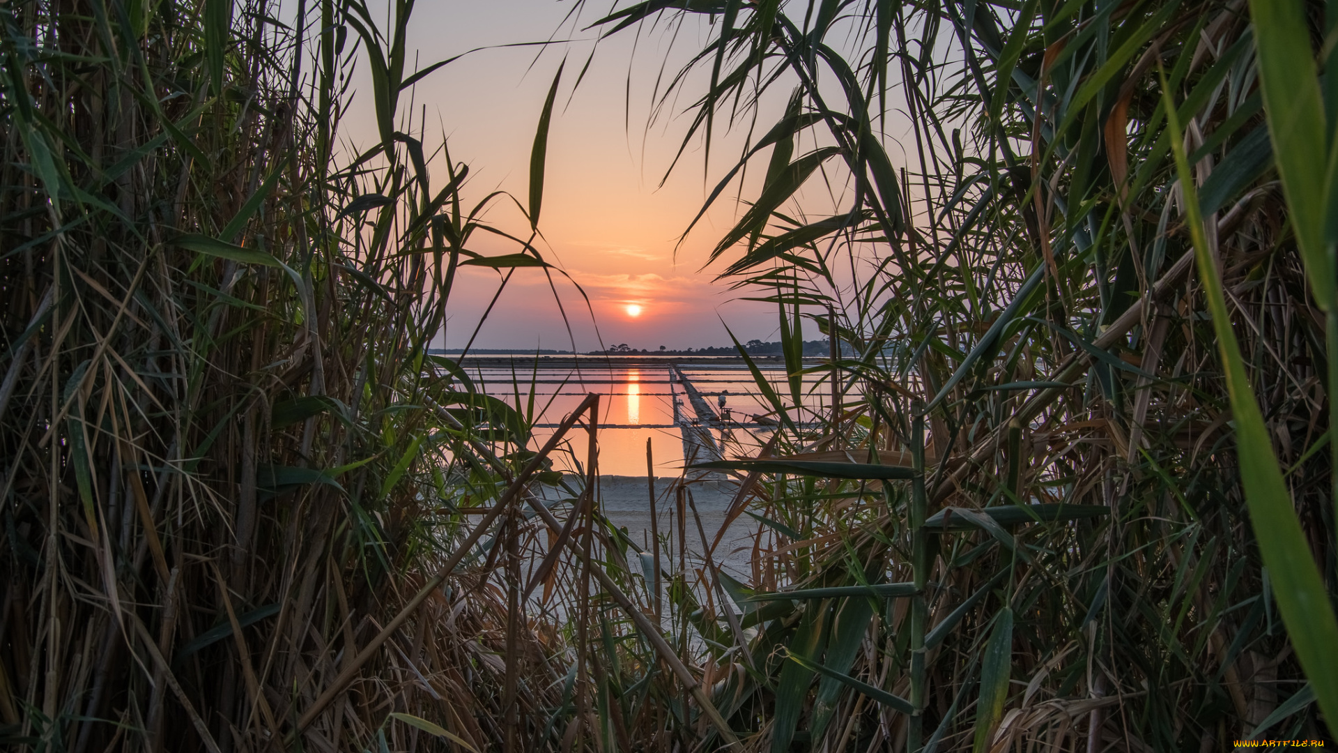 природа, восходы, закаты, рассвет