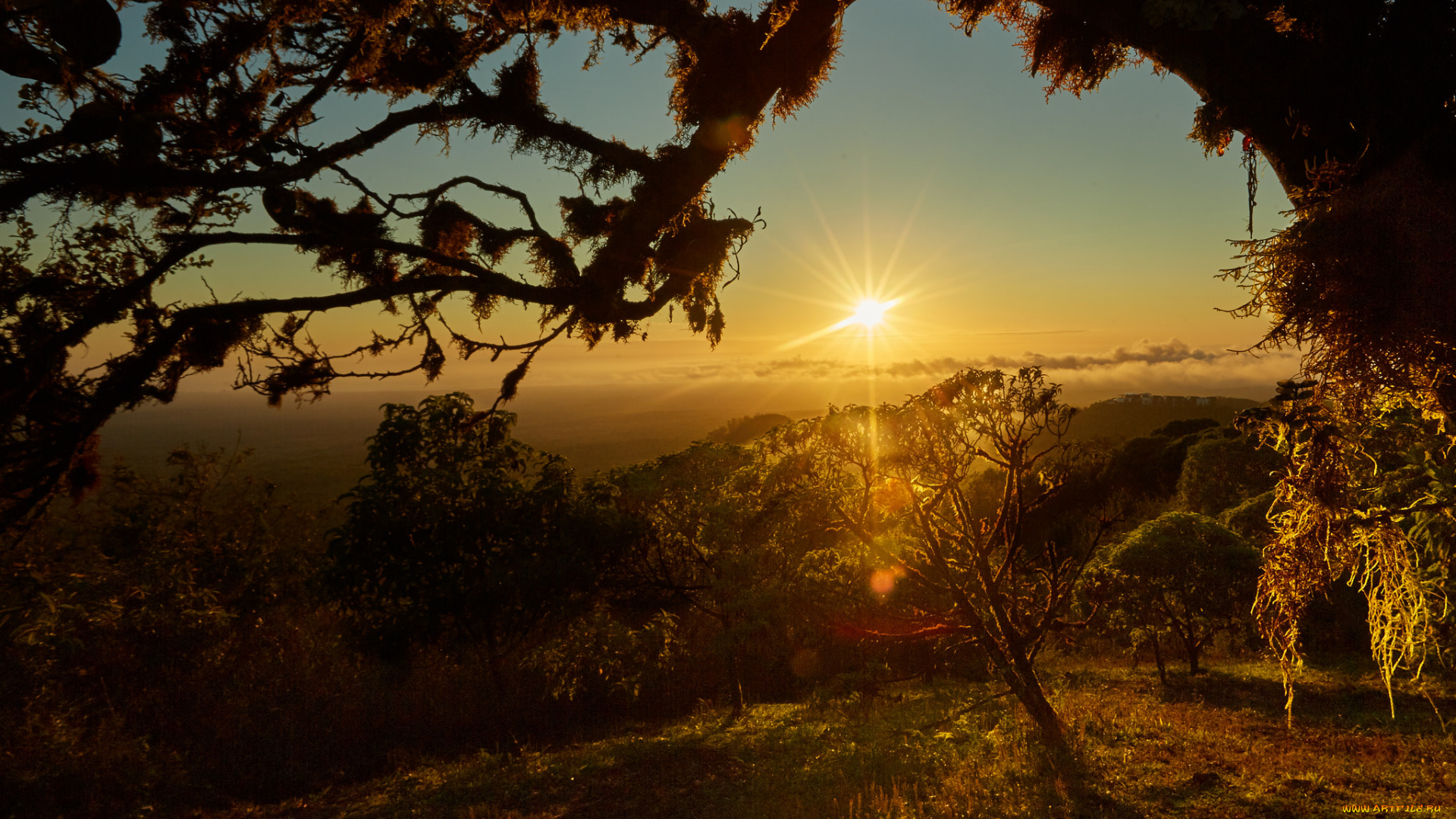 природа, восходы, закаты, рассвет