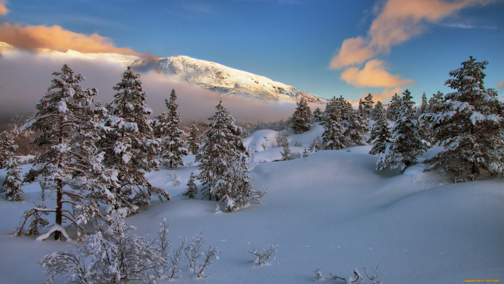 природа, зима, снег