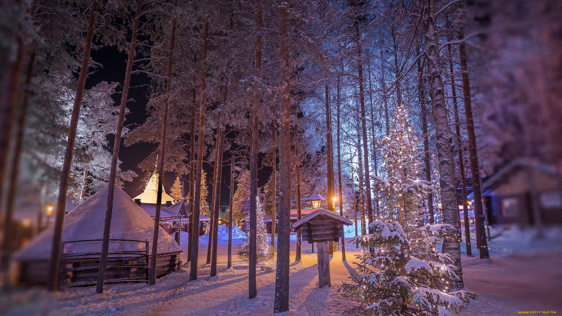 природа, зима, снег