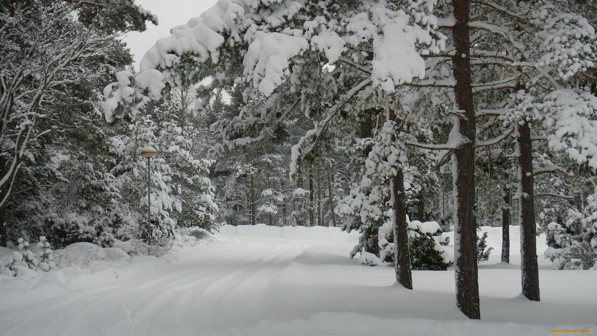 природа, зима, снег