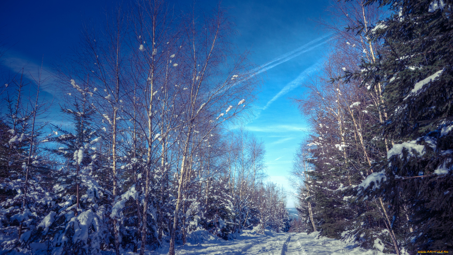 природа, зима, снег