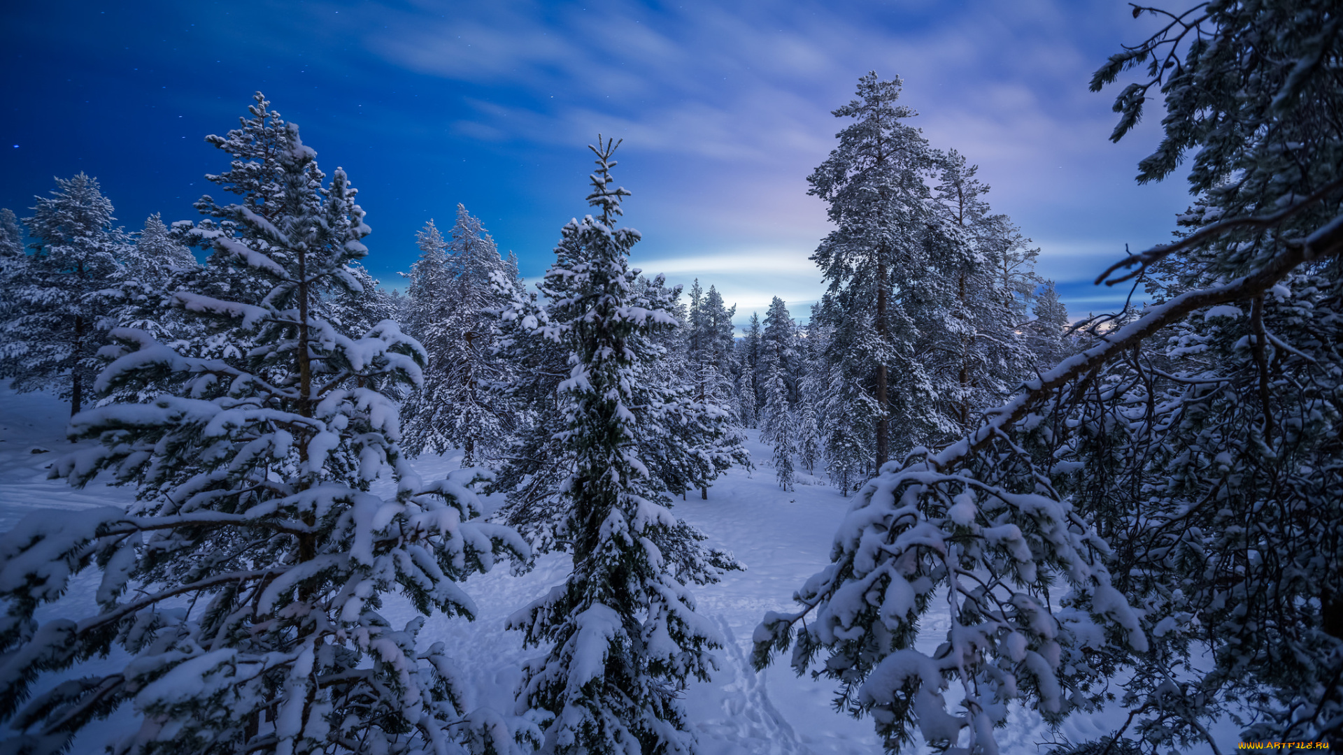 природа, зима, снег