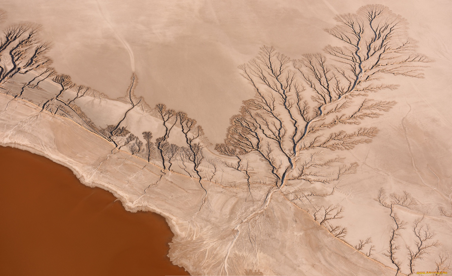 природа, реки, озера, река, мохава, берег