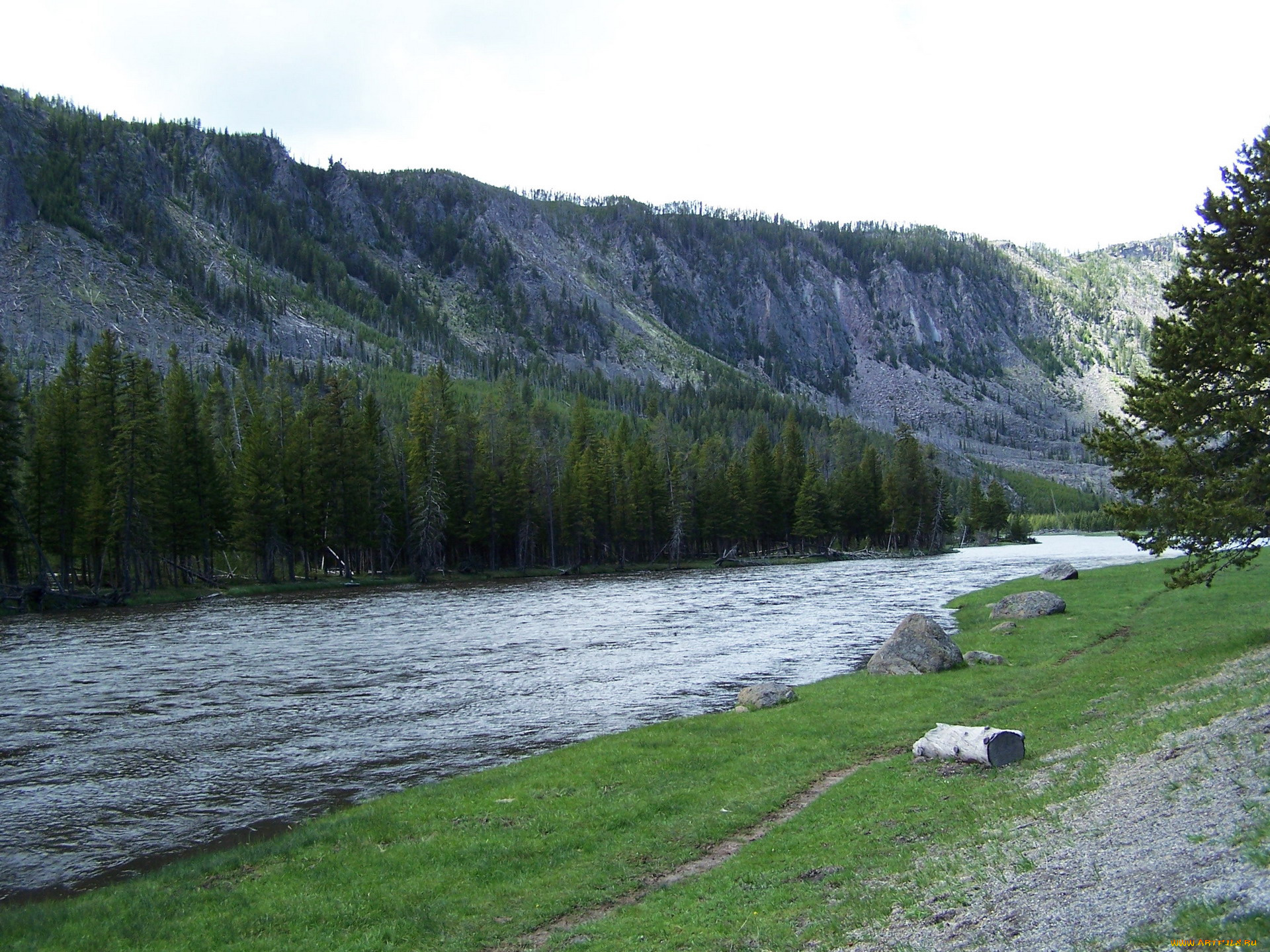 природа, реки, озера, камни, деревья, ели, горы