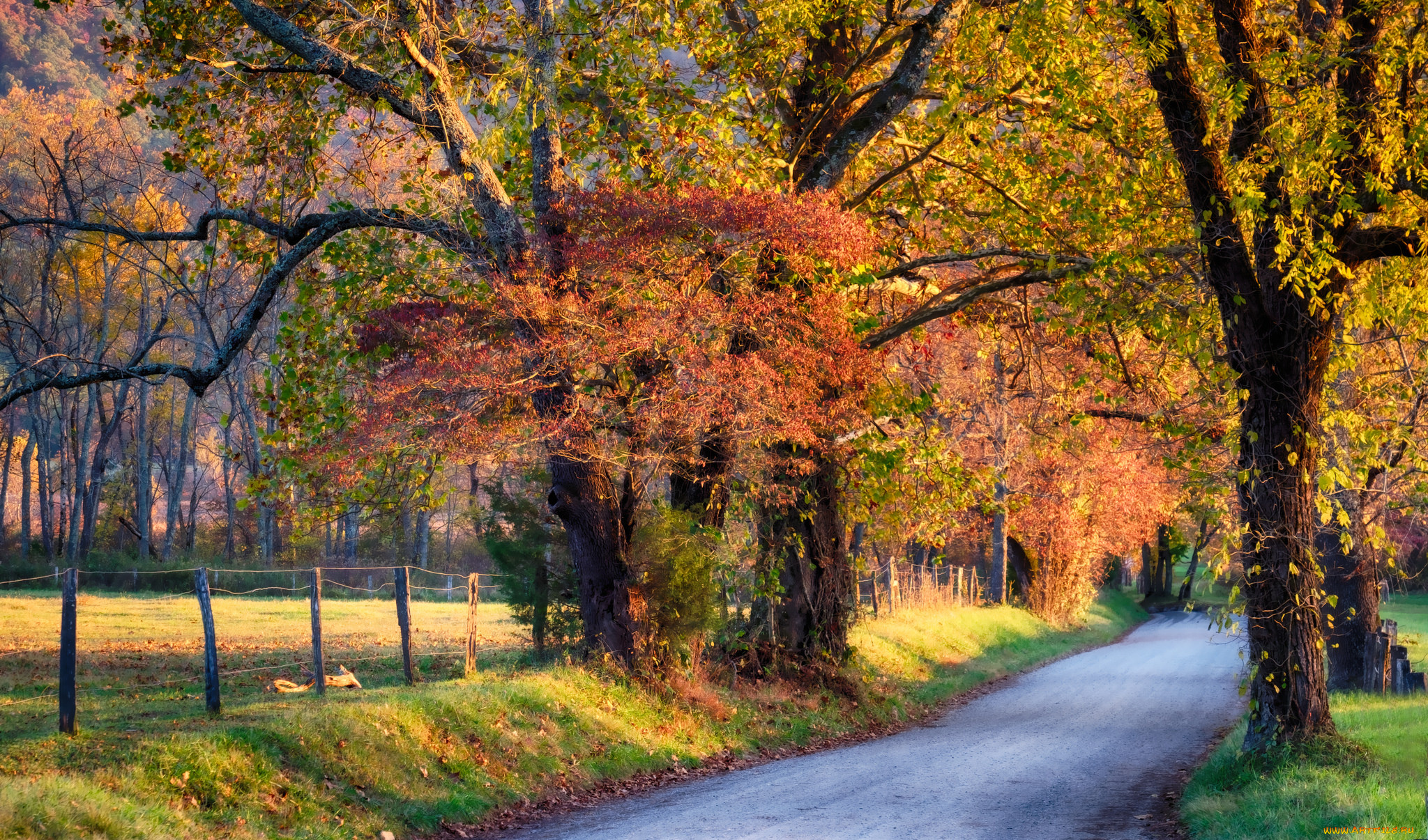 природа, дороги, тракт