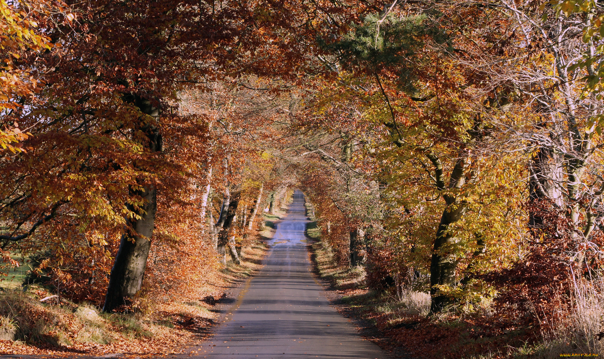 природа, дороги, тракт