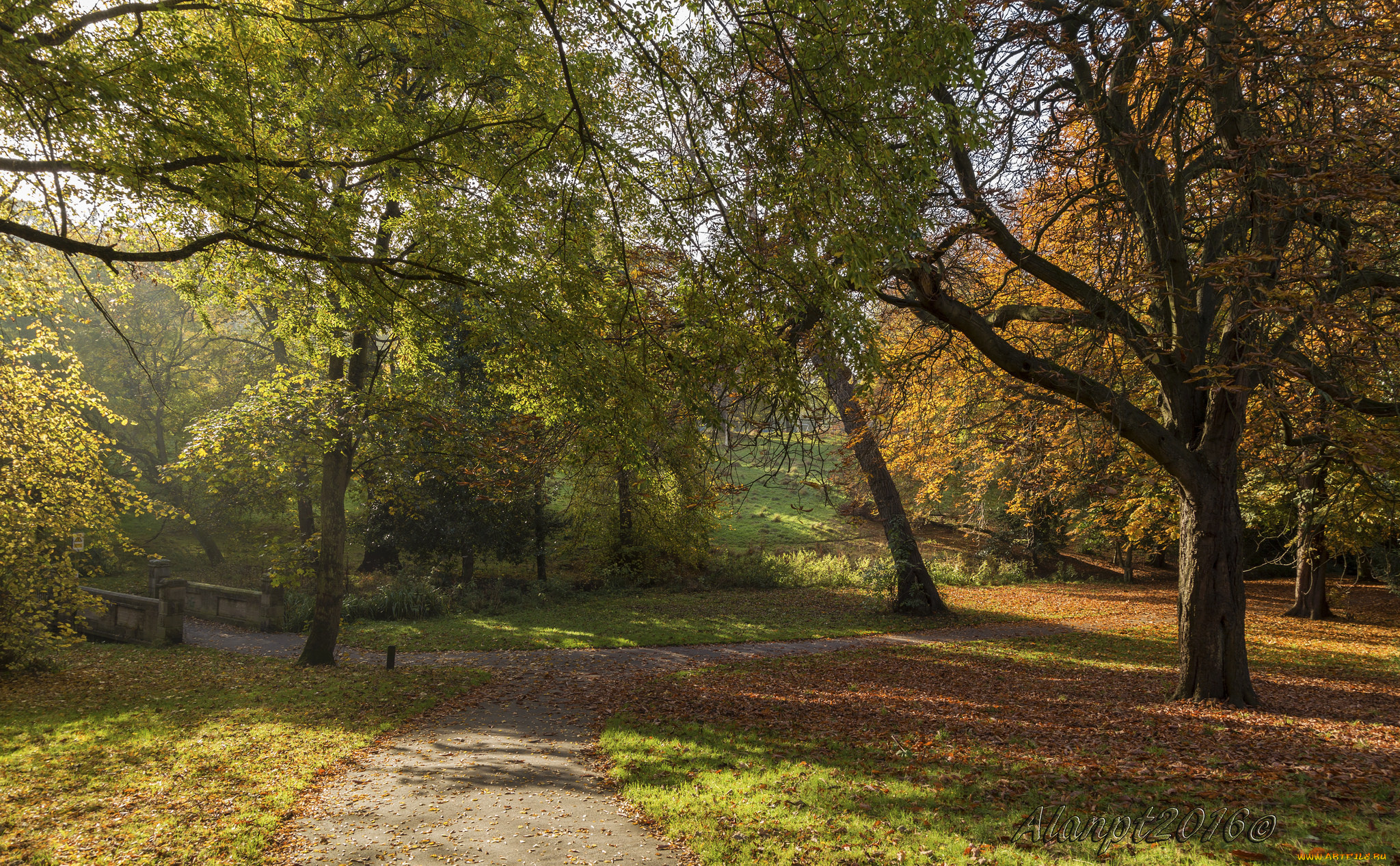 природа, дороги, тракт