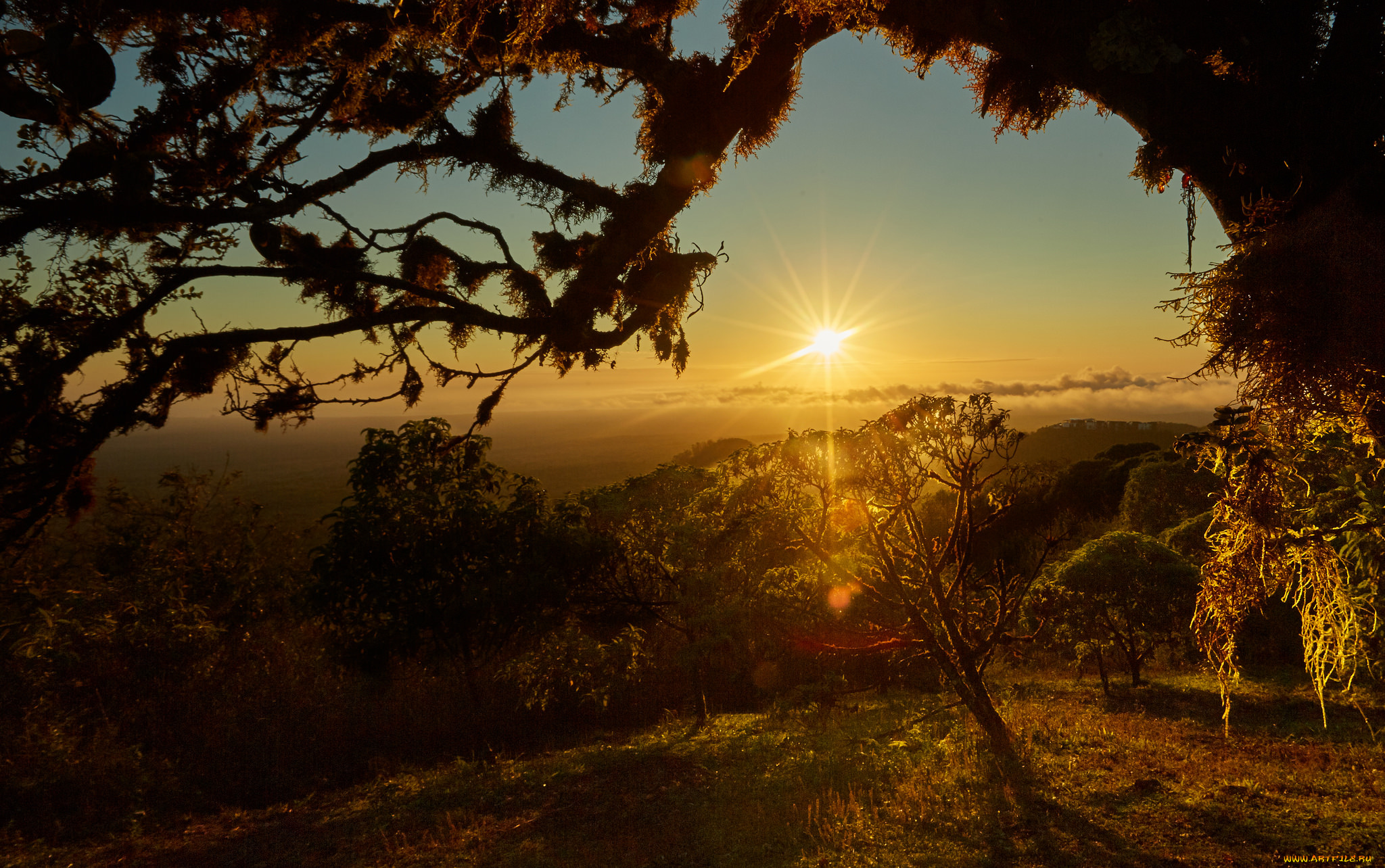 природа, восходы, закаты, рассвет