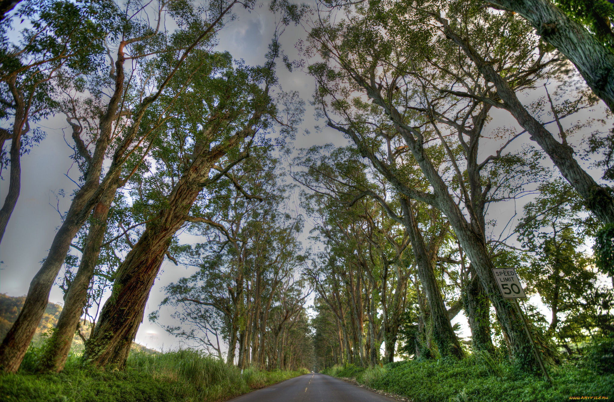 природа, дороги, тракт