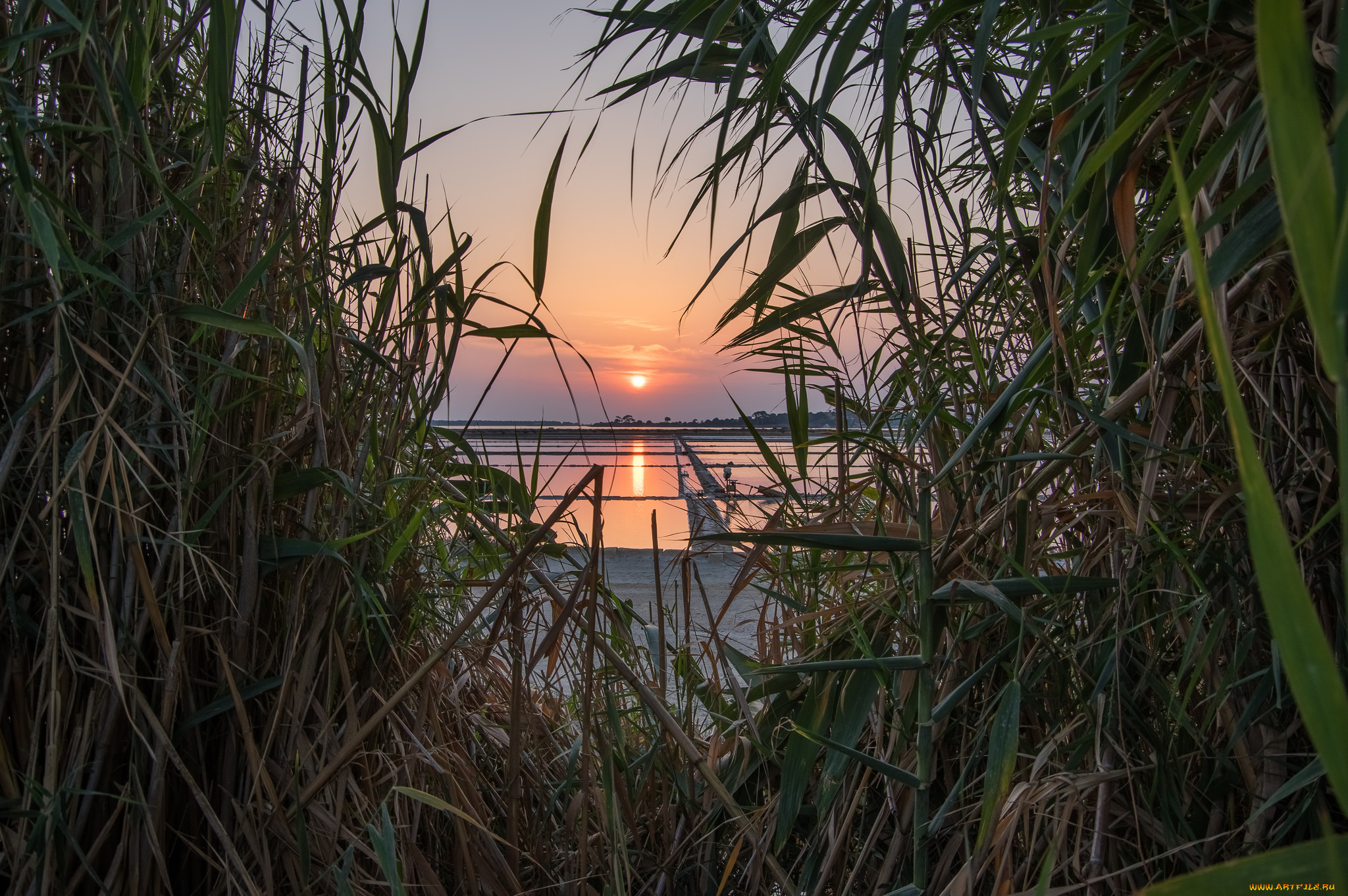 природа, восходы, закаты, рассвет