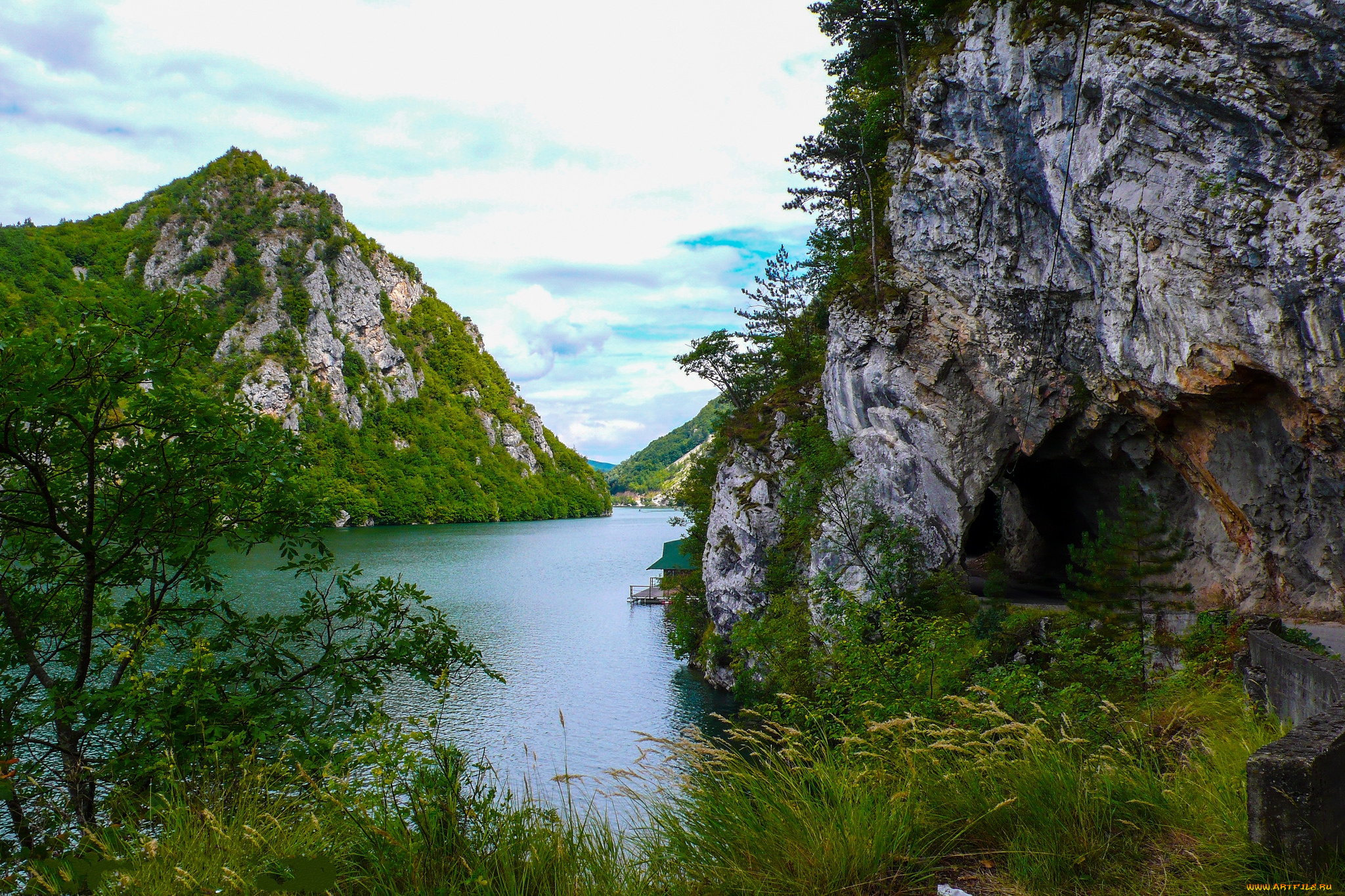 природа, реки, озера, река, лес