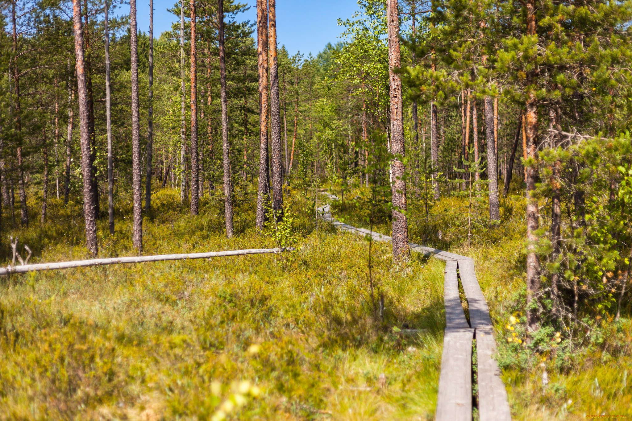 природа, дороги, тракт