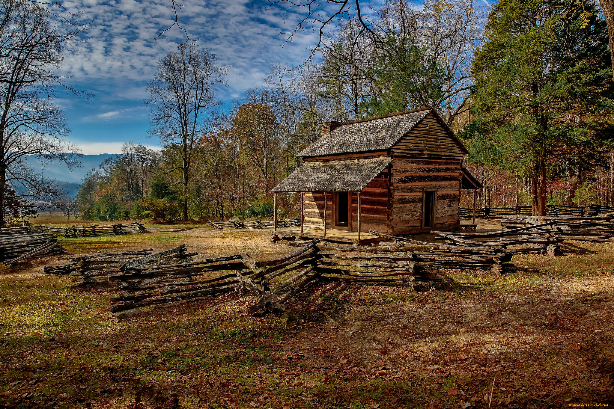 природа, пейзажи, опушка