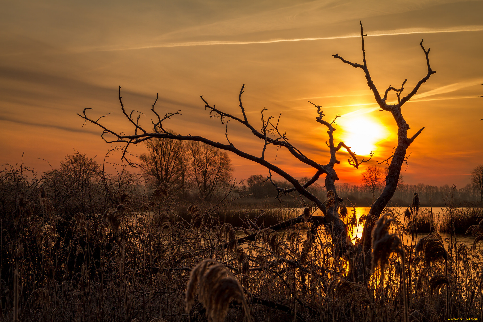 природа, восходы, закаты, рассвет