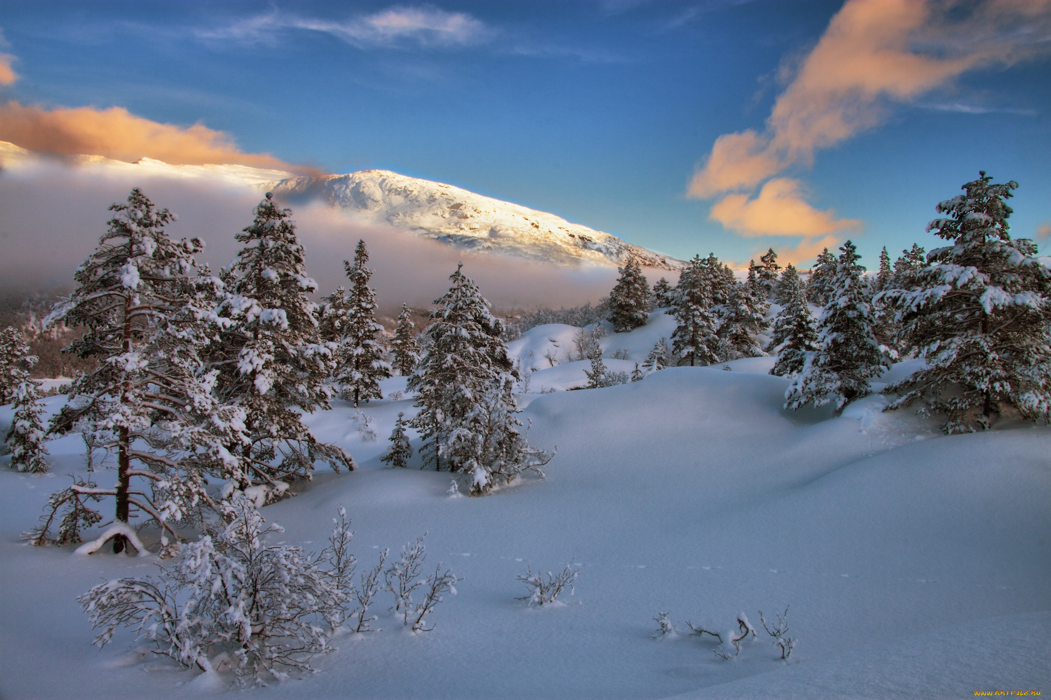 природа, зима, снег