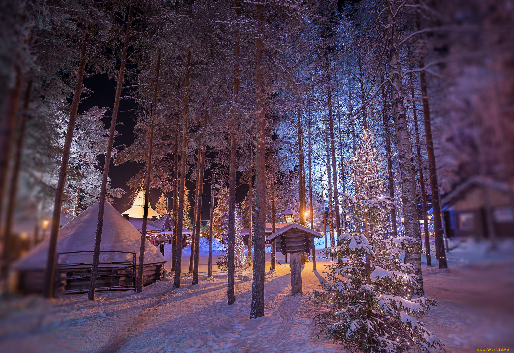 природа, зима, снег