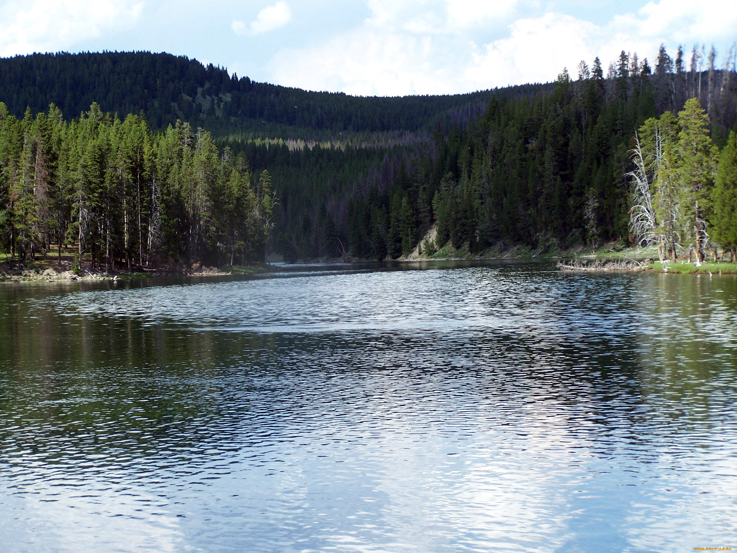 природа, реки, озера, деревья, гора, лес, река