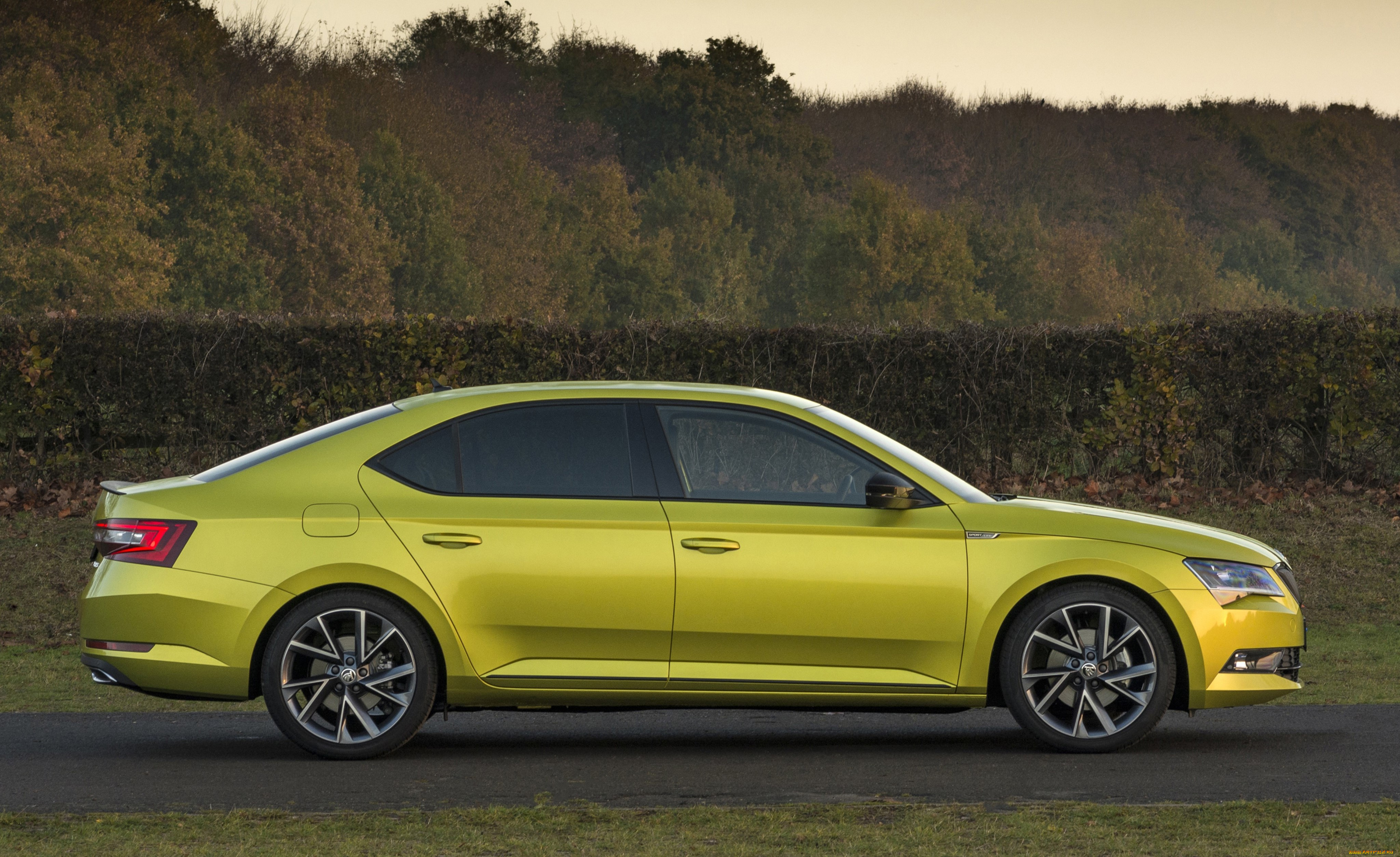 автомобили, skoda