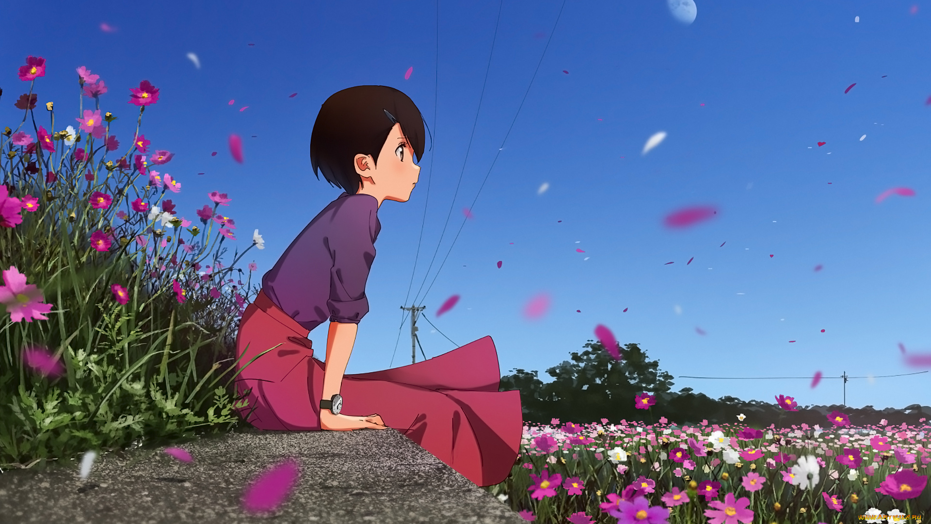 аниме, unknown, , другое, , взгляд, девушка, фон