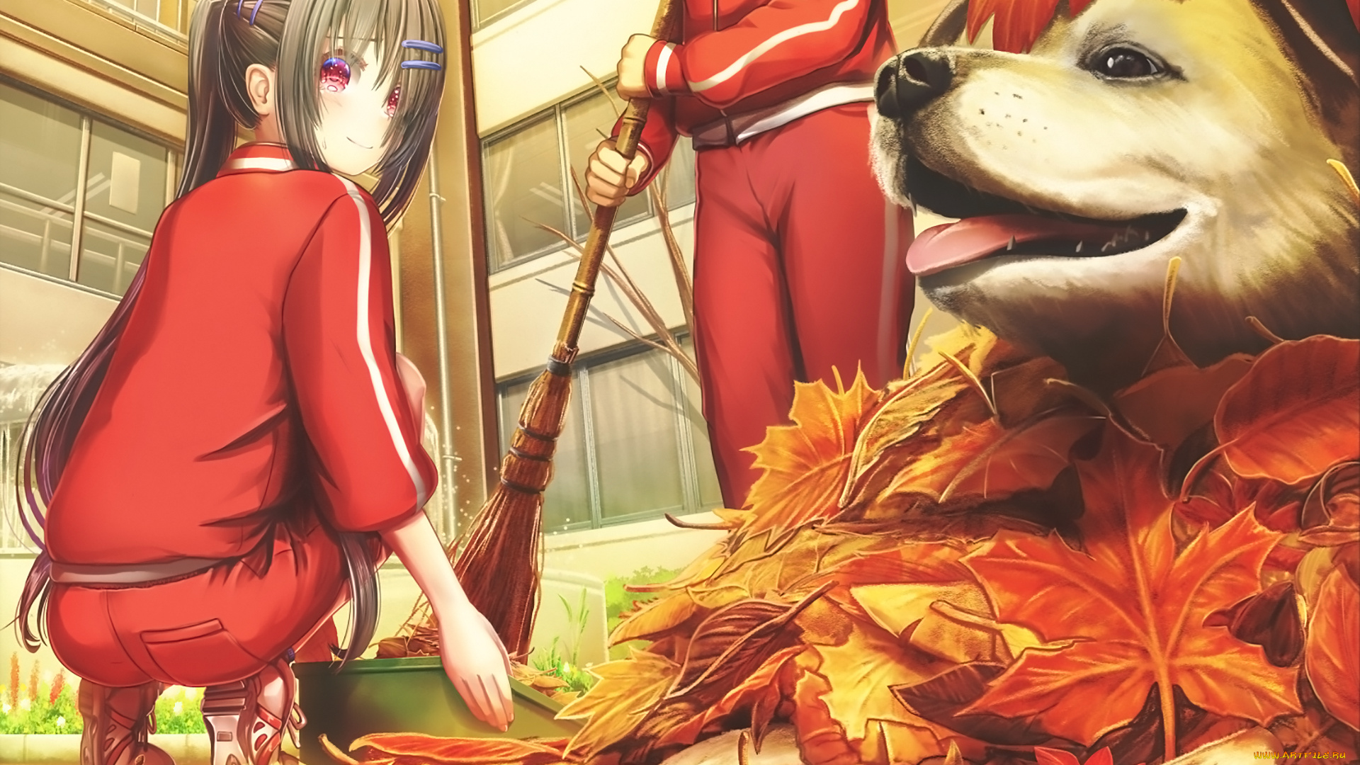 аниме, животные, , существа, фон, взгляд, девушка