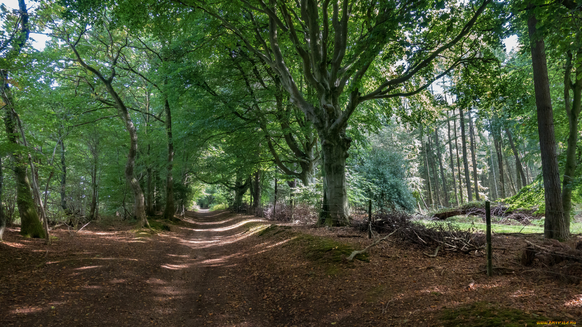 природа, дороги, простор