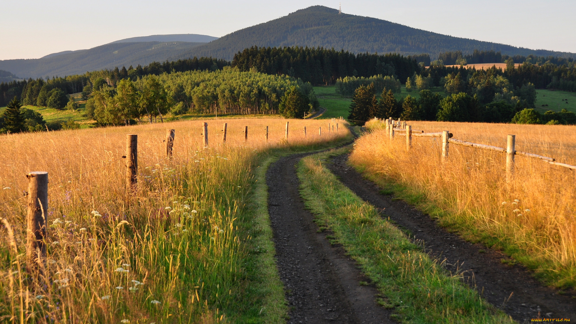 природа, дороги, простор