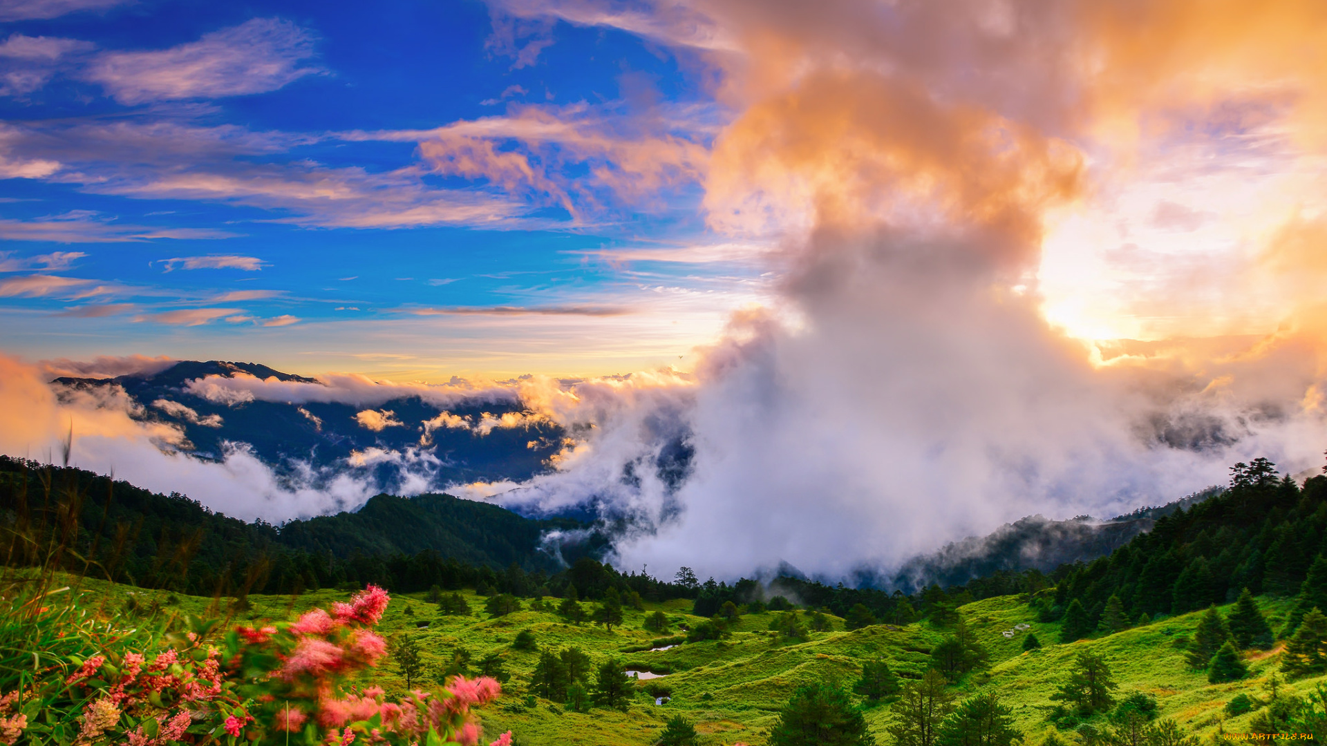 природа, горы, простор