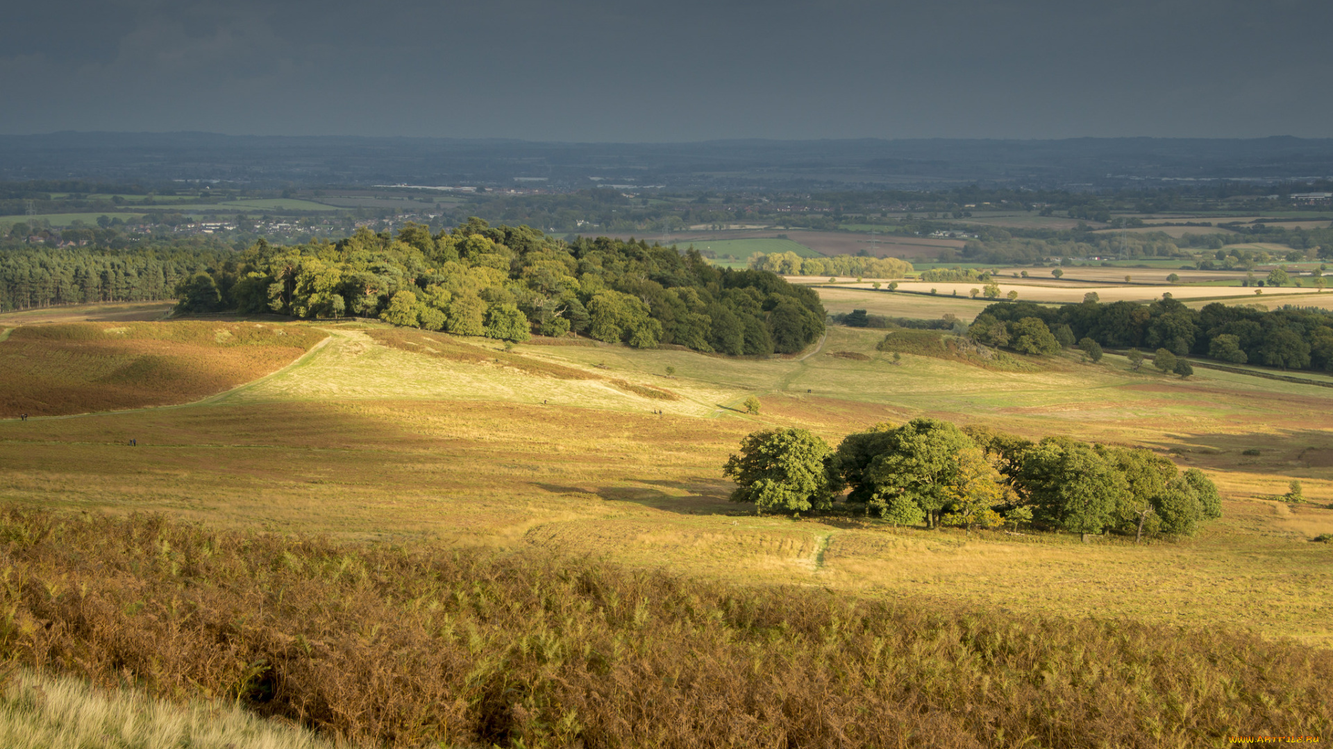природа, пейзажи, простор