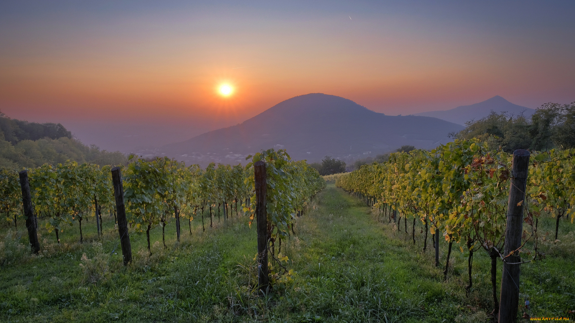 природа, пейзажи, простор