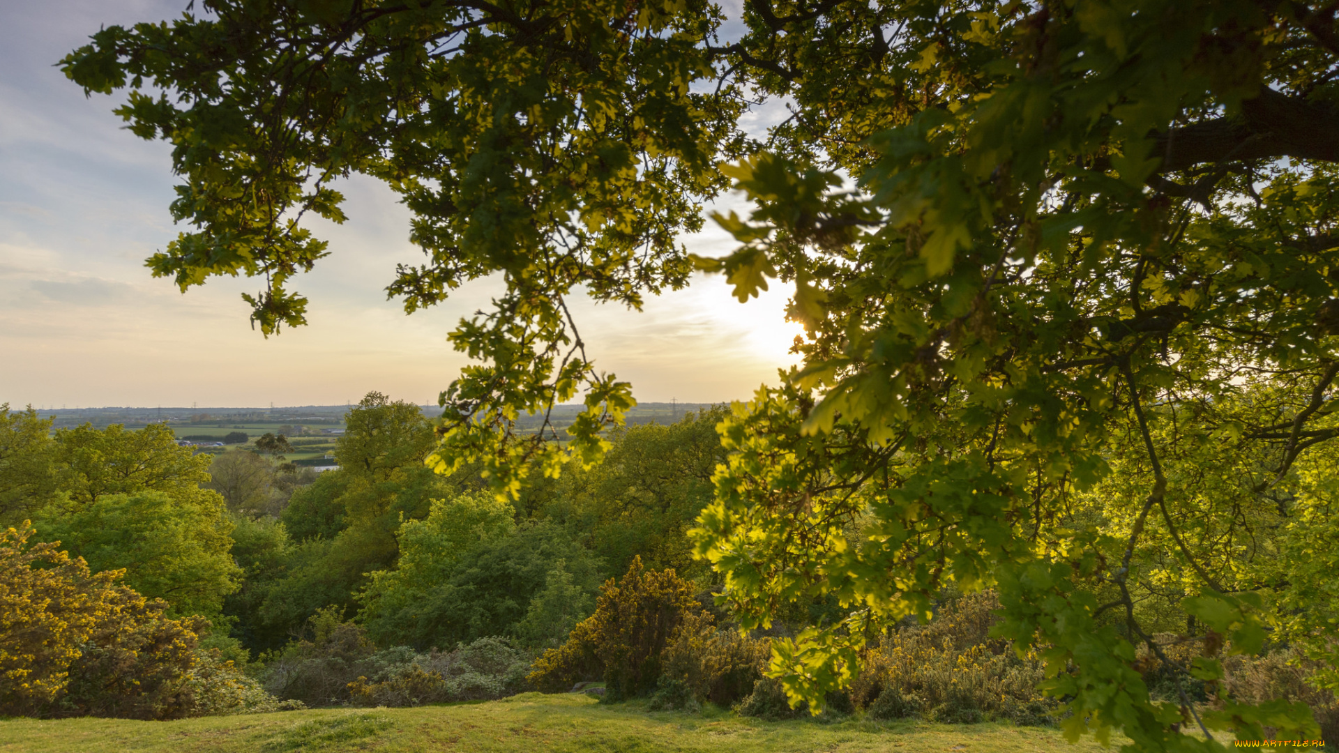 природа, пейзажи, простор