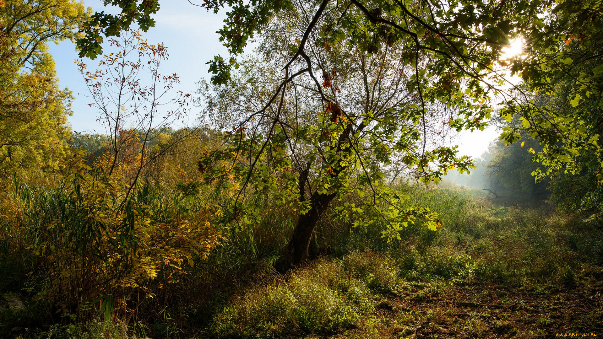 природа, реки, озера, простор