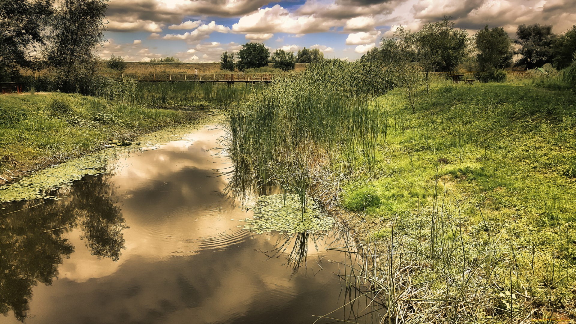 природа, реки, озера, простор