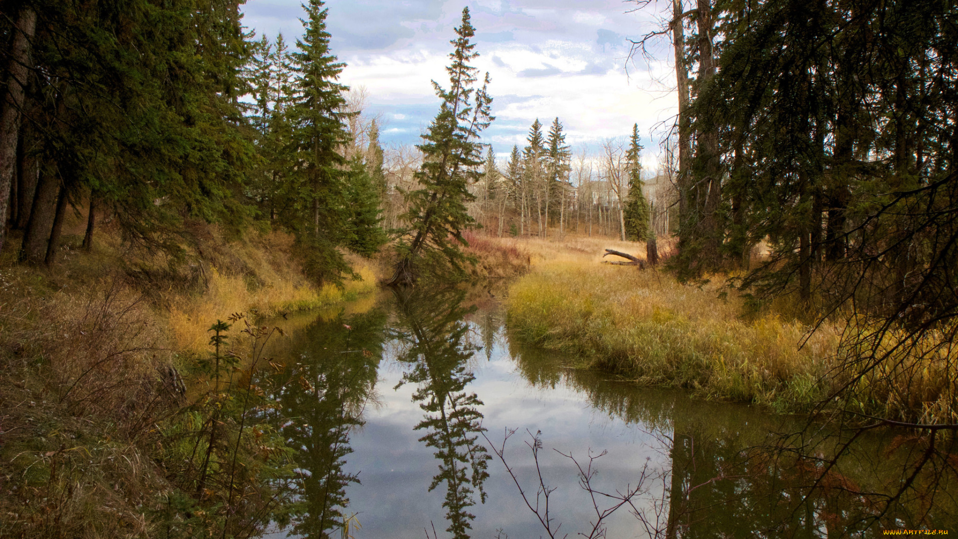 природа, реки, озера, простор