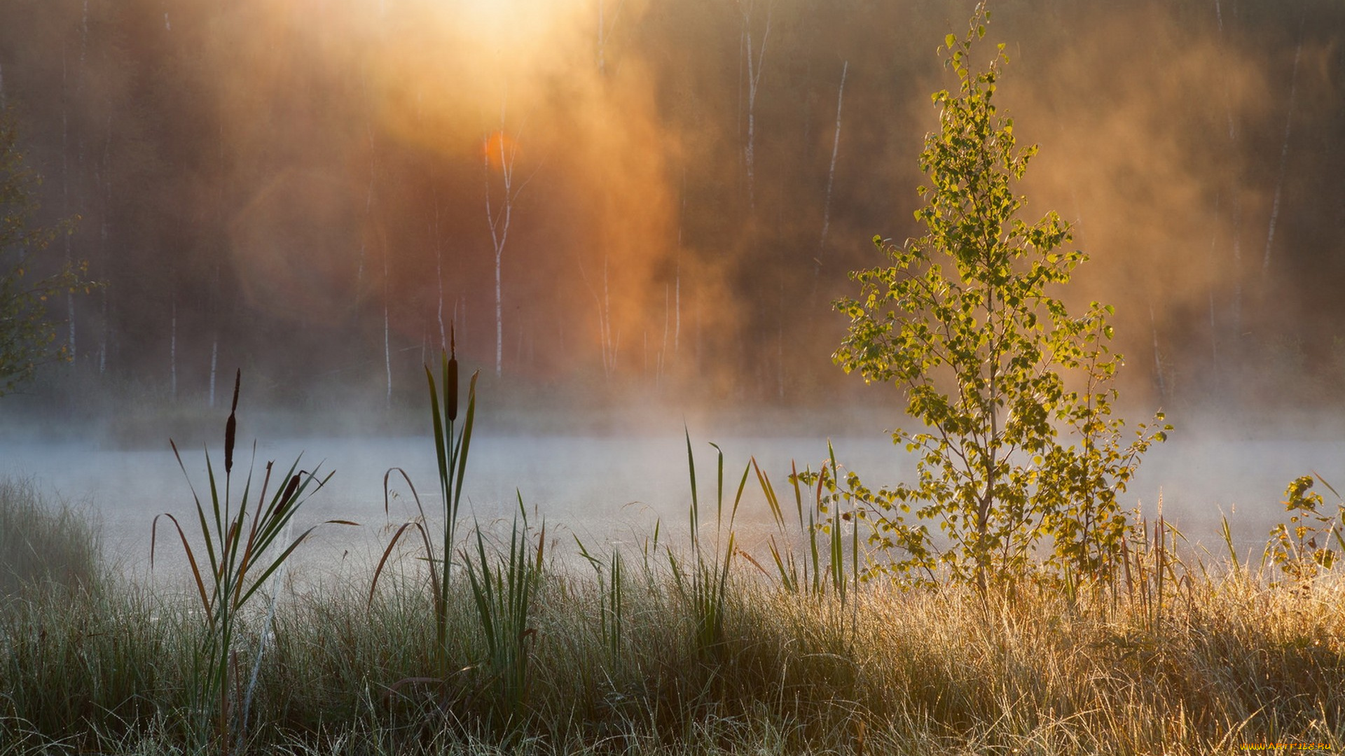 природа, реки, озера, простор