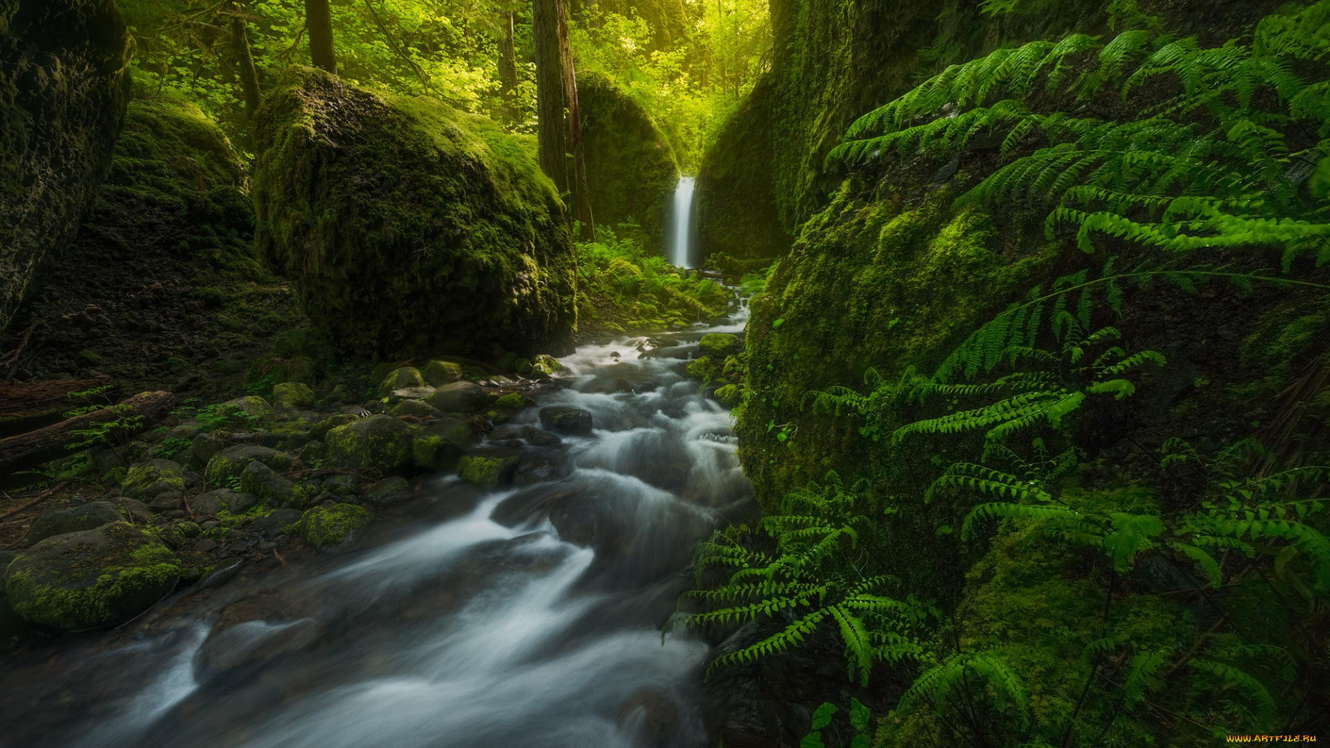 природа, реки, озера, сша, водопад, папоротник, mossy, grotto, falls, лес, oregon
