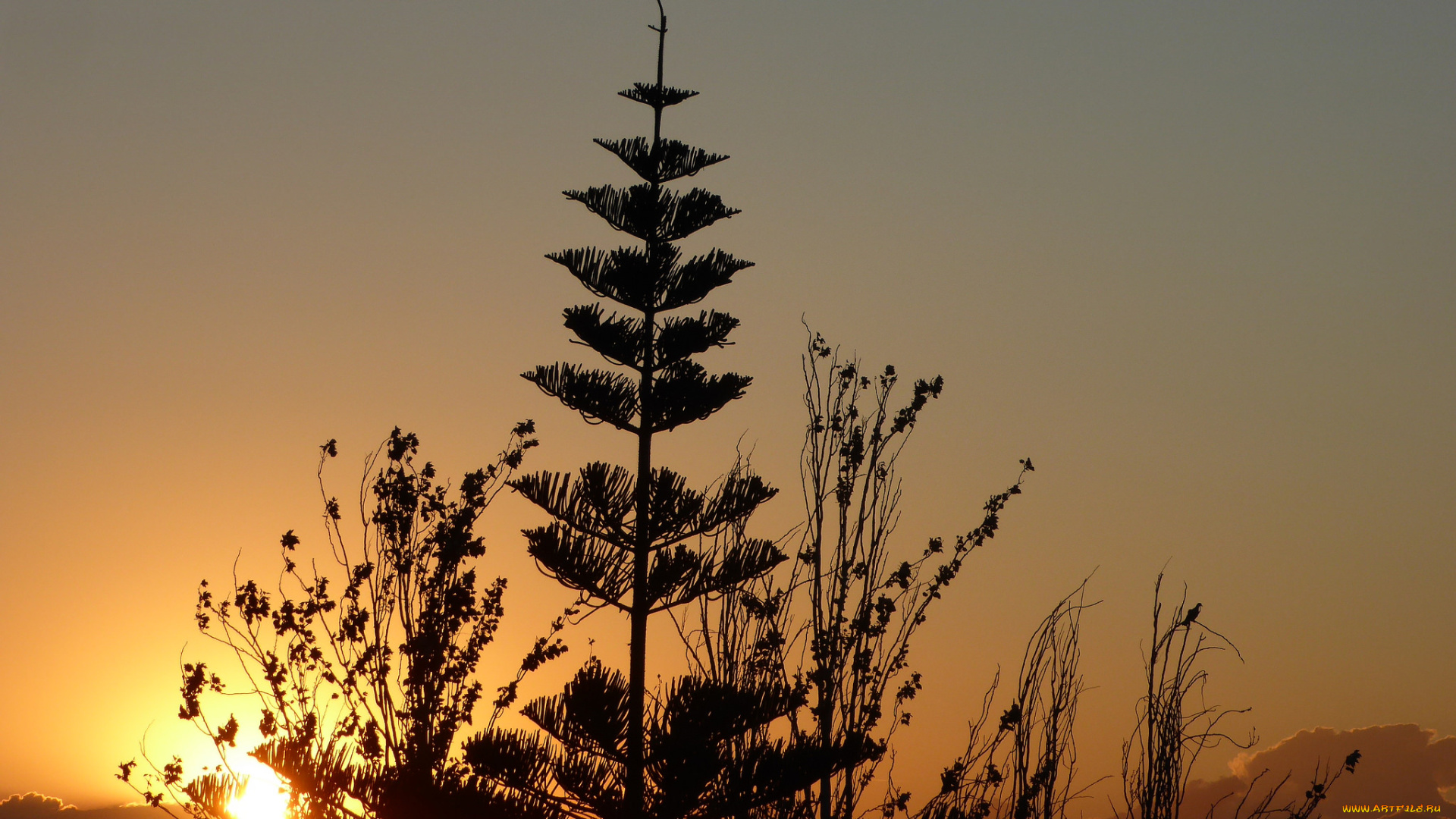 природа, восходы, закаты, простор