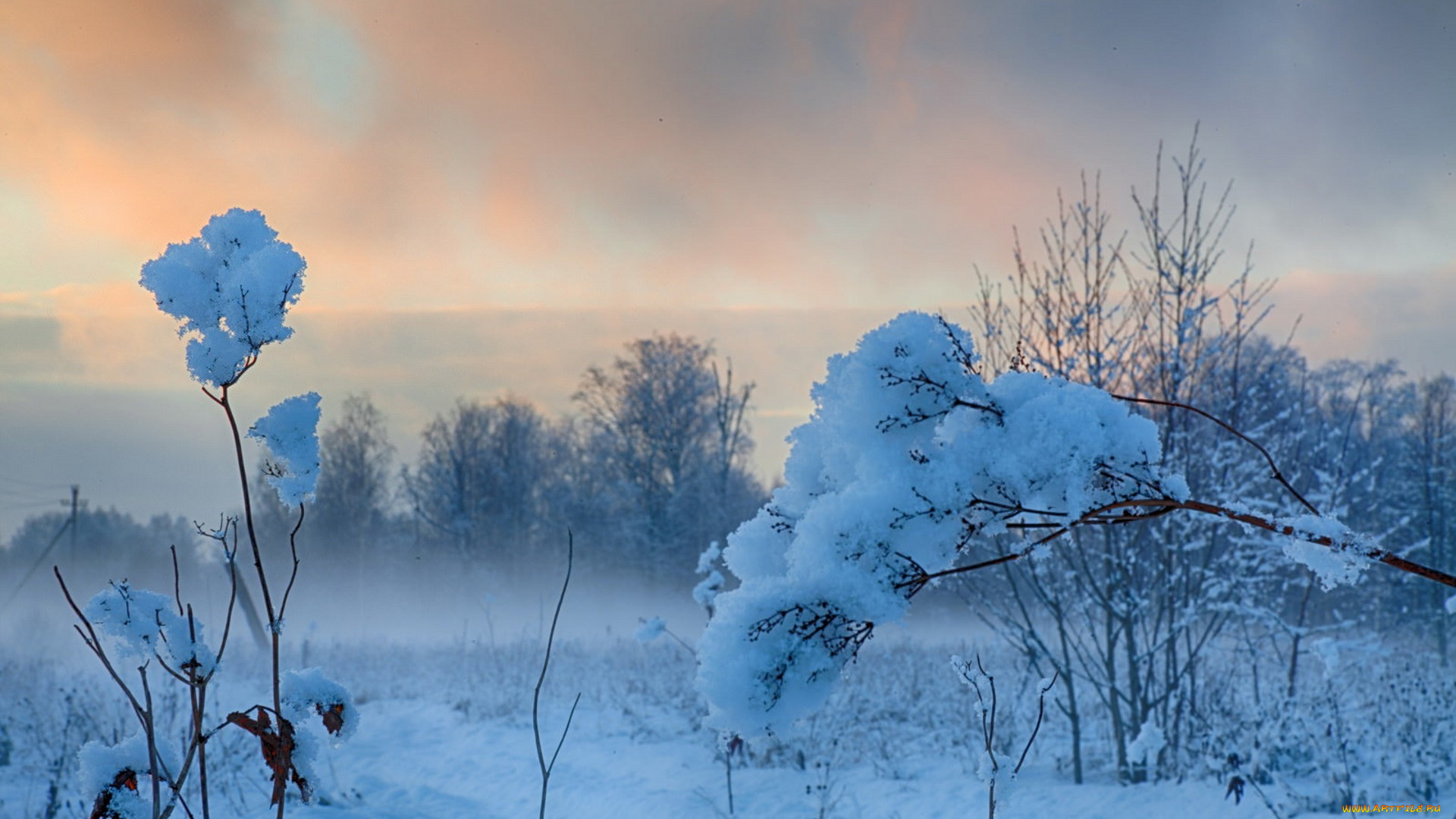 природа, зима, простор