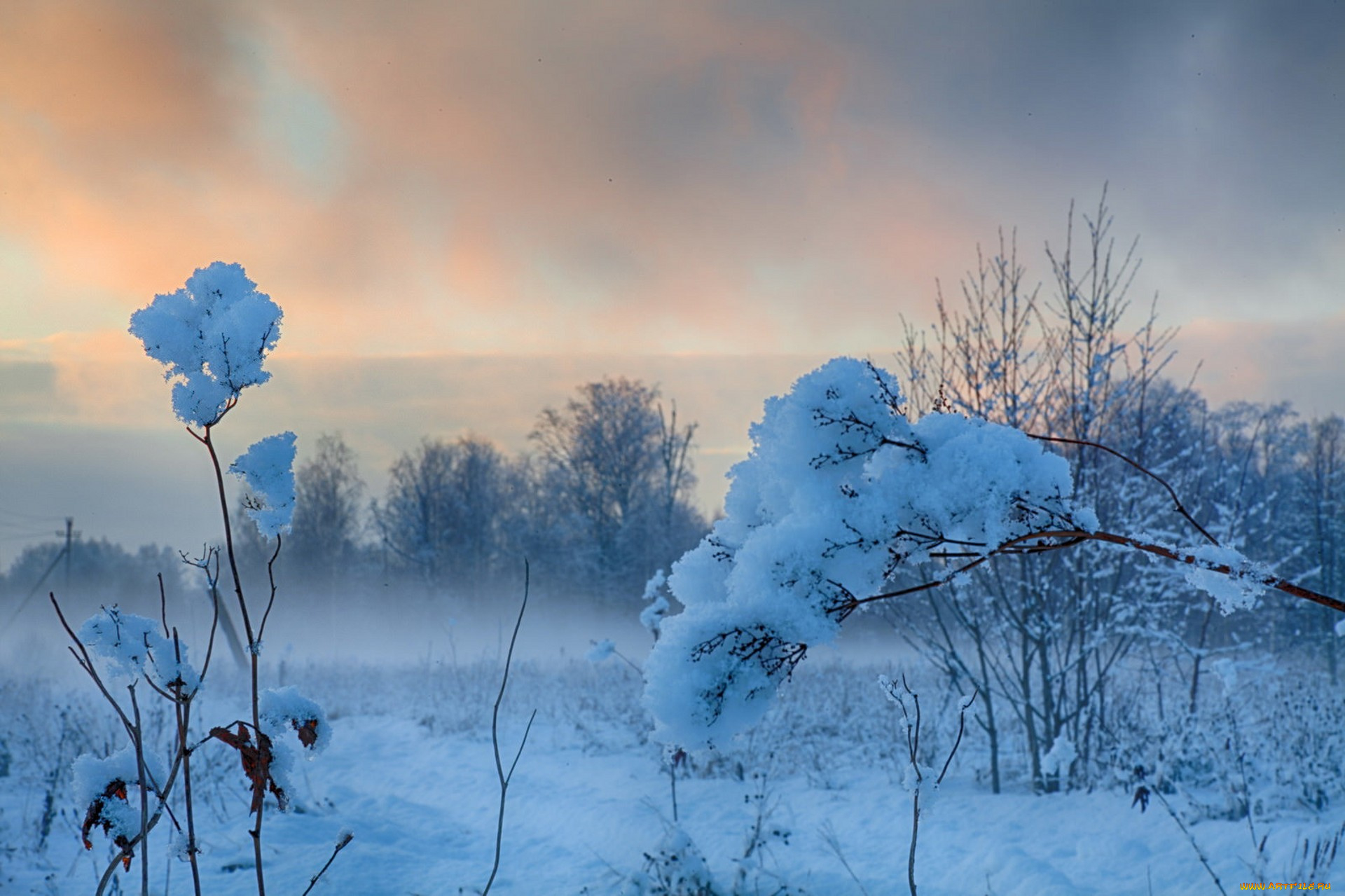природа, зима, простор