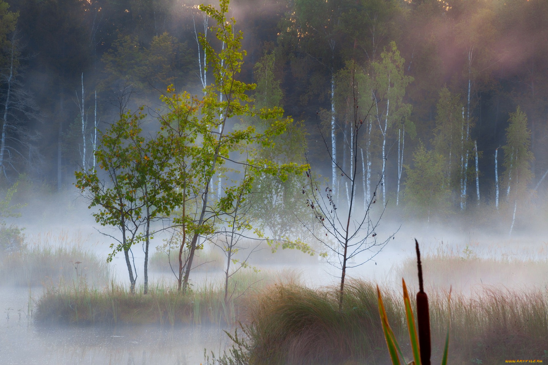 природа, реки, озера, простор