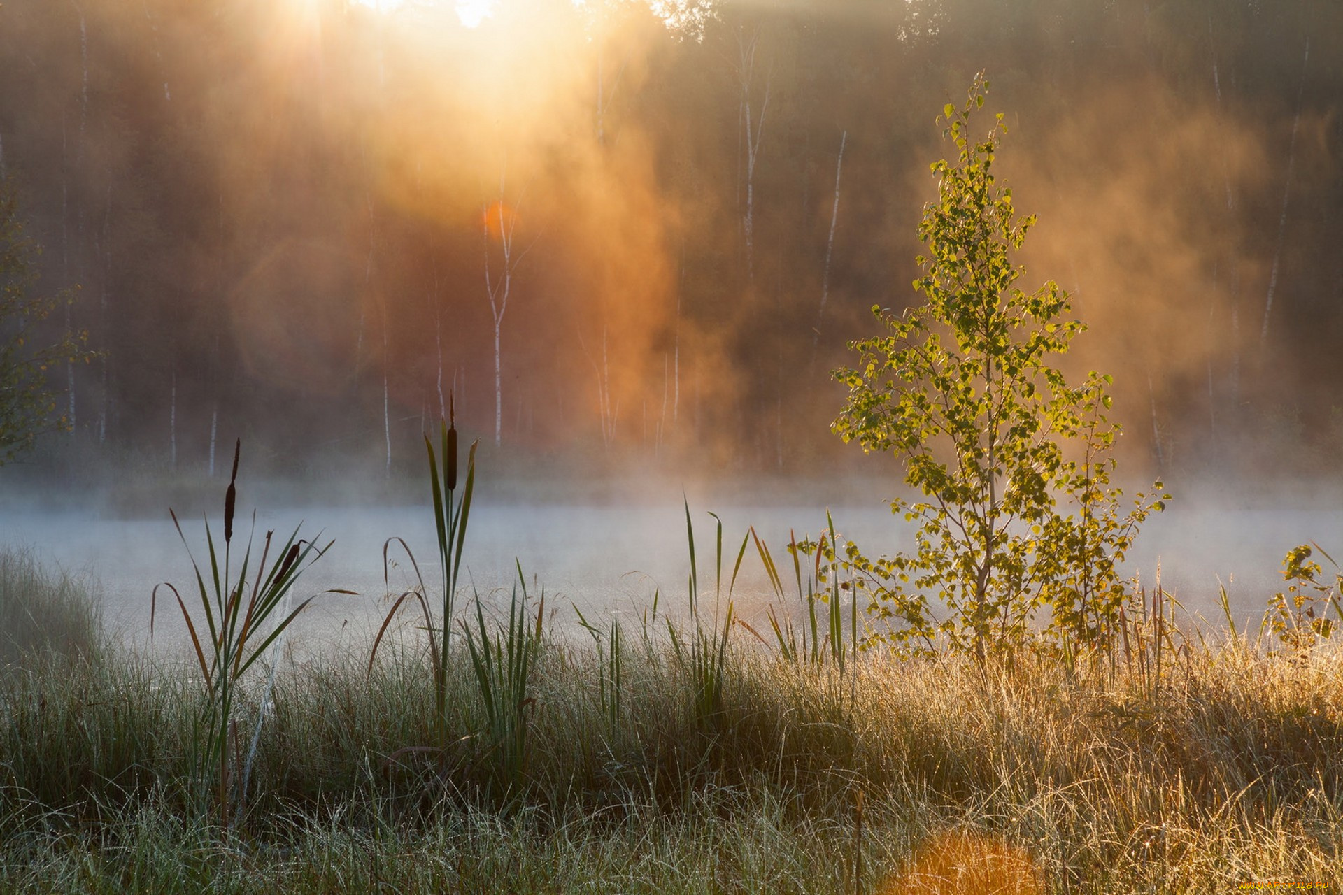 природа, реки, озера, простор