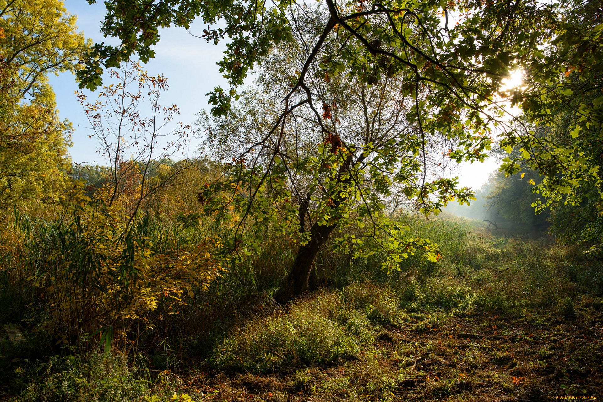 природа, реки, озера, простор