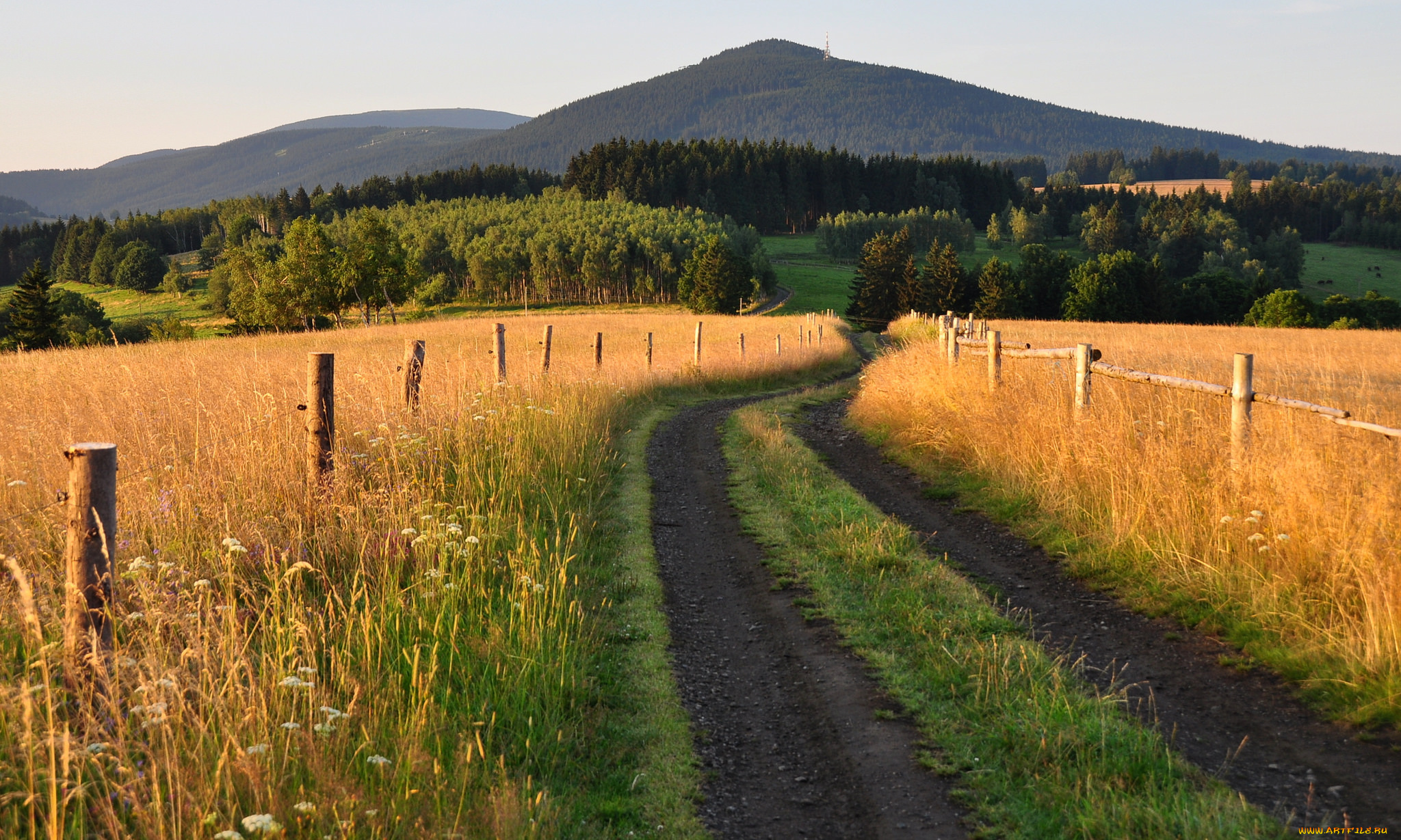 природа, дороги, простор