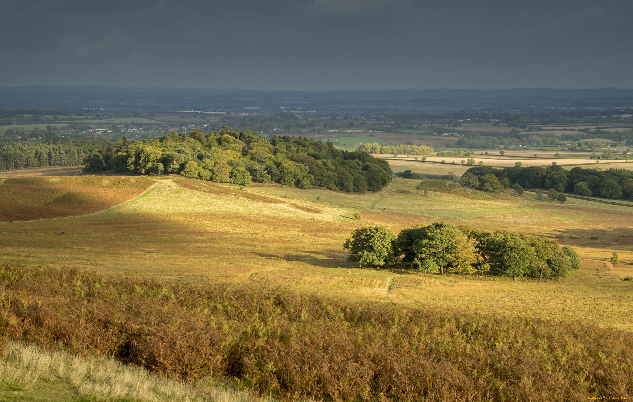 природа, пейзажи, простор