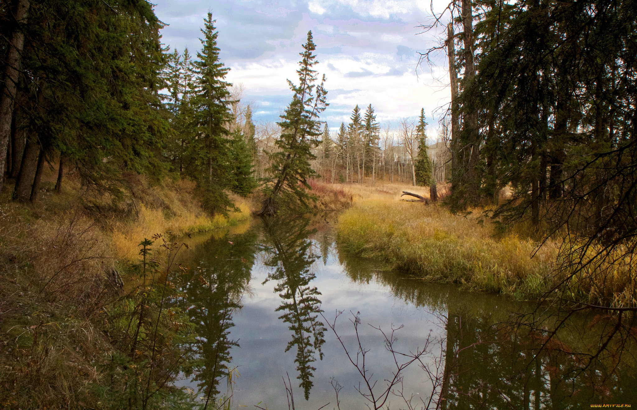 природа, реки, озера, простор