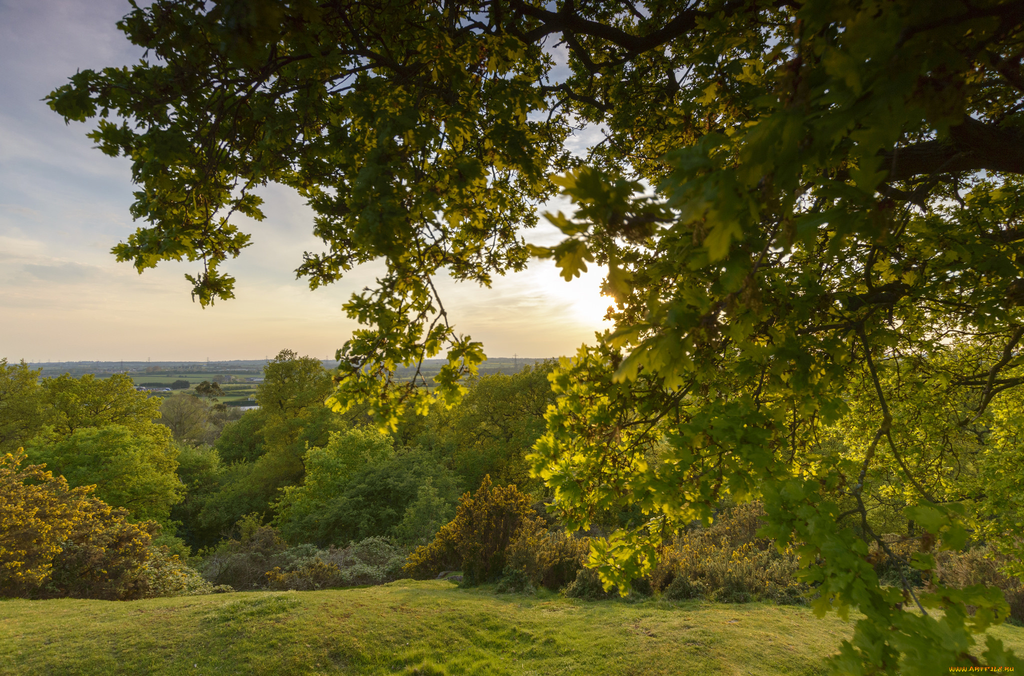 природа, пейзажи, простор