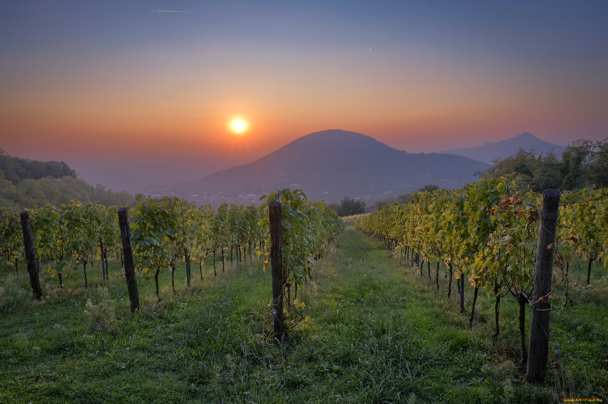 природа, пейзажи, простор