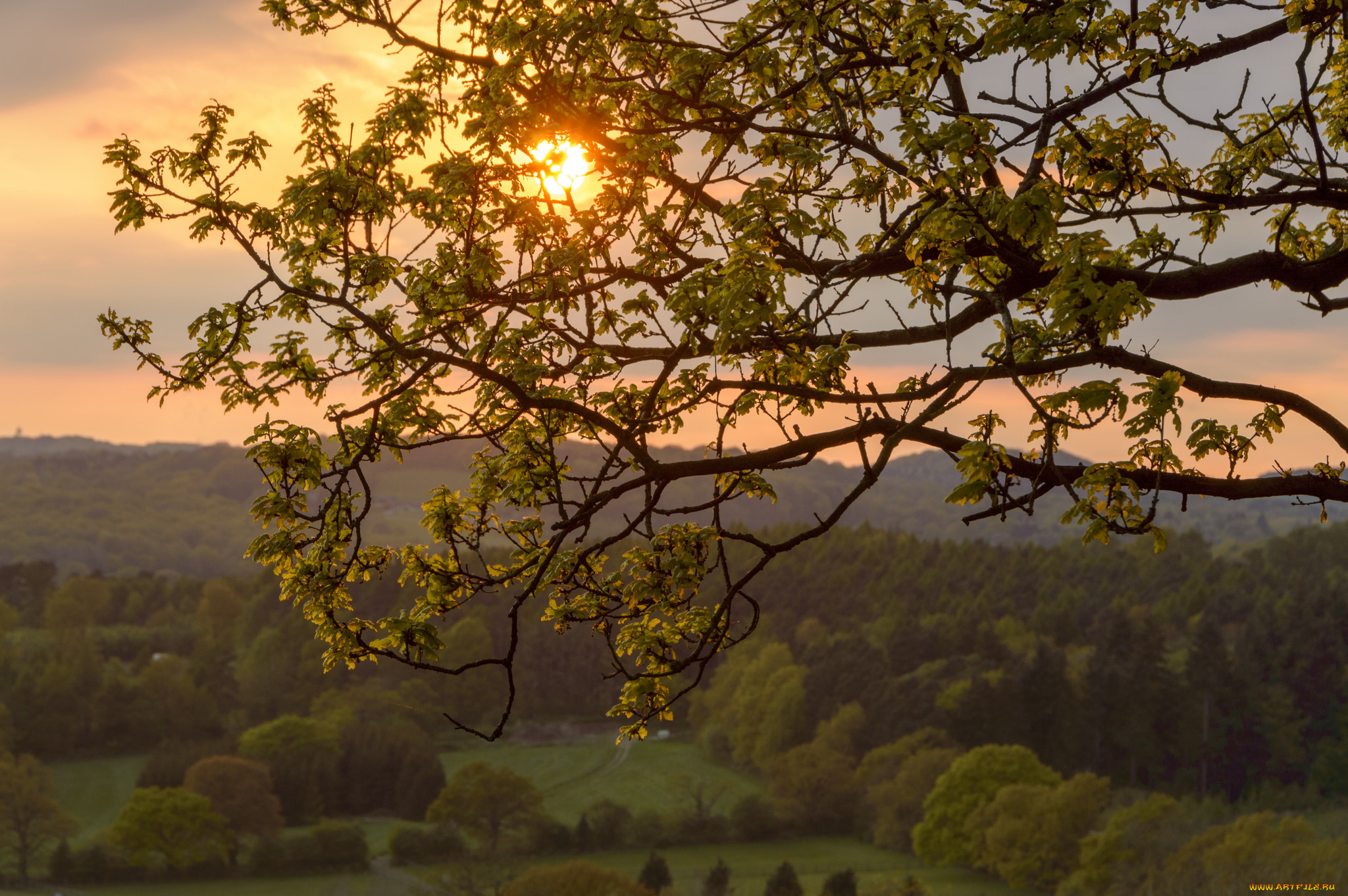 природа, пейзажи, простор