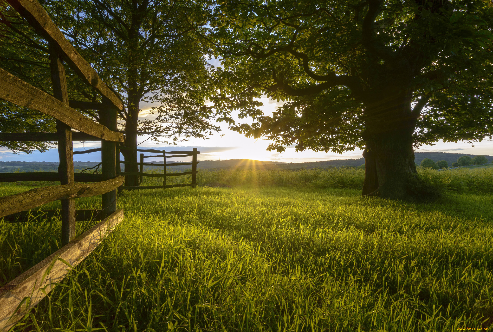 природа, пейзажи, простор