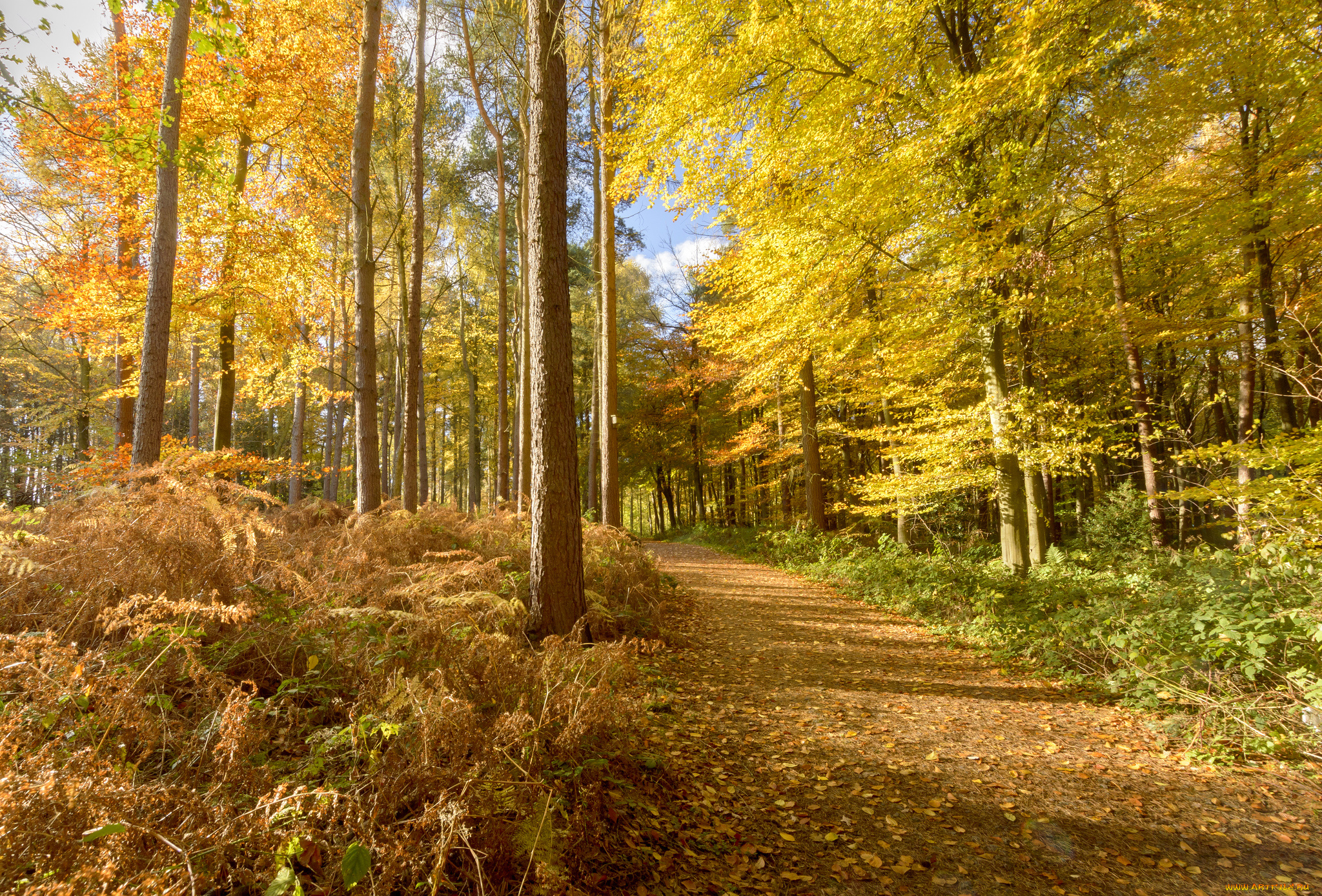 природа, дороги, простор